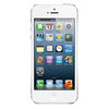 Apple iPhone 5 16Gb white - Малоярославец